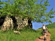 Anello ‘Madunina del Giong’- Prati Parini da Botta di Sedrina-21magg22- FOTOGALLERY